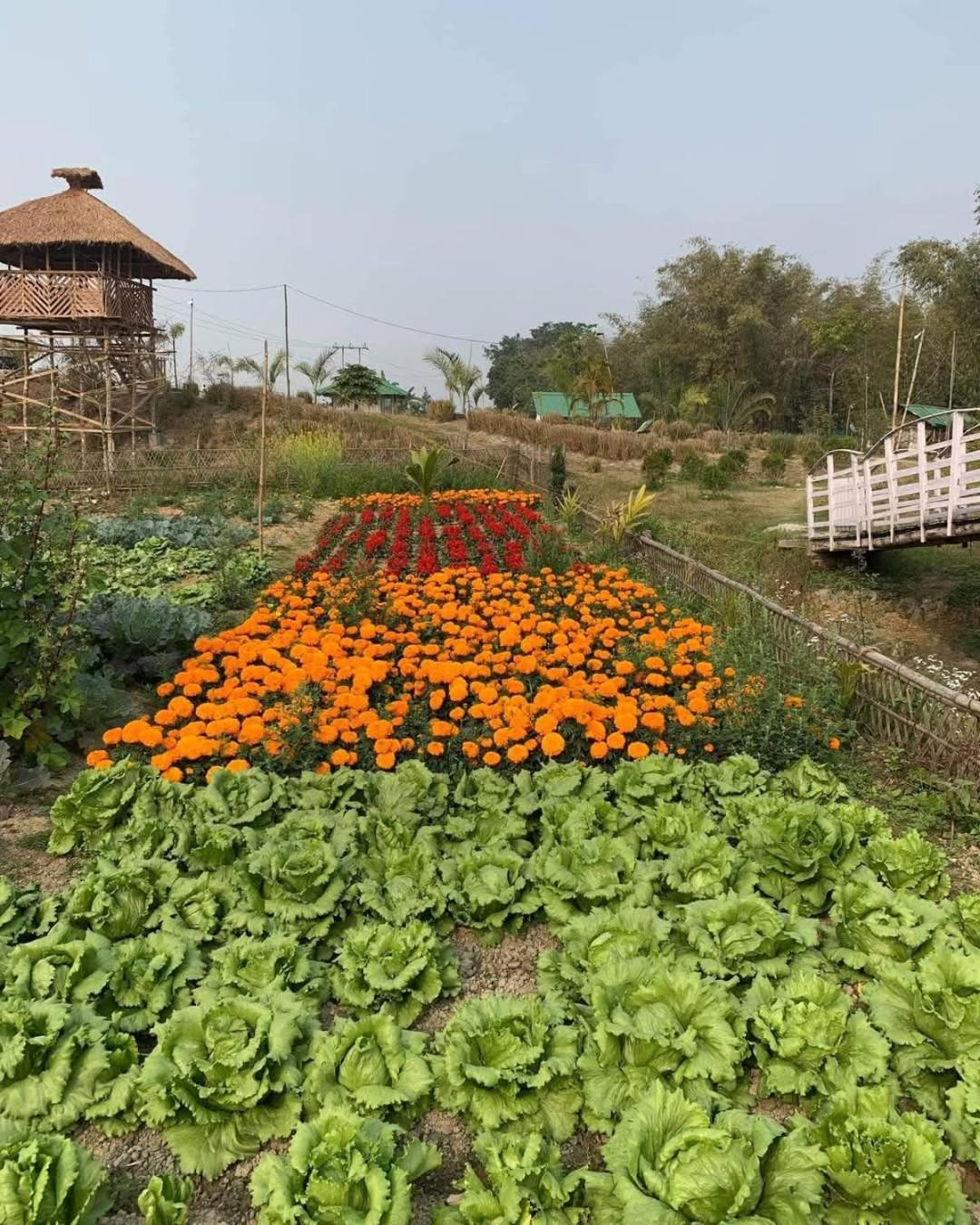 Bogibil Eco Resort New Dibrugarh Exterior photo